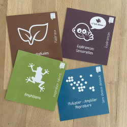 Cartes de créativité Play & Pulse